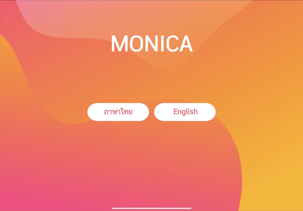 Monica Digital Picnic