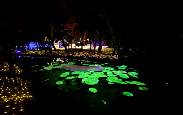 NaSatta Light Festival 2022